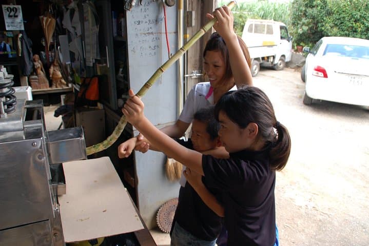 Sugarcane cutting experience with Okinawa's grandfather — photo 7