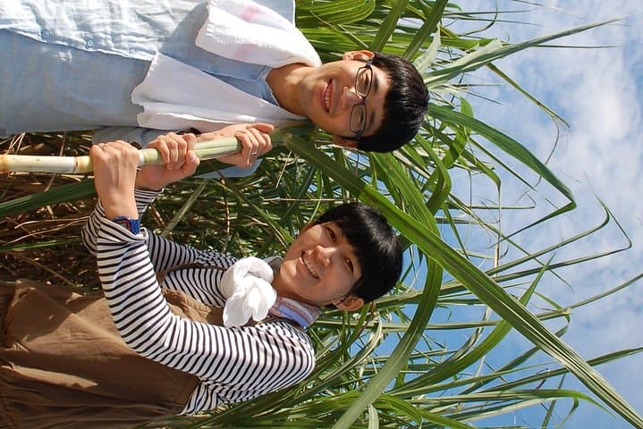 Sugarcane cutting experience with Okinawa's grandfather — photo 10