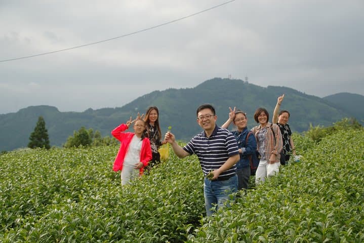 Experience tea picking with a tea farmer, and tempura lunch with picked tea leaves — photo 4