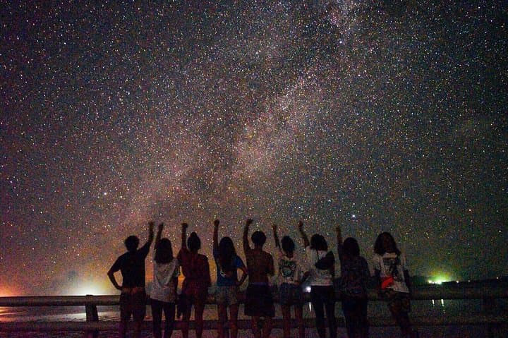 Miyako Island Night Tour Jungle Adventure Stargazing and Wildlife — photo 7