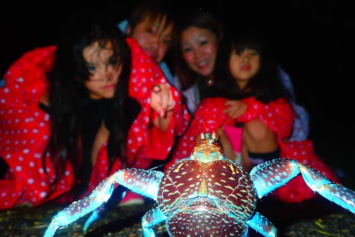 Miyako Island Night Tour Jungle Adventure Stargazing and Wildlife — photo 16