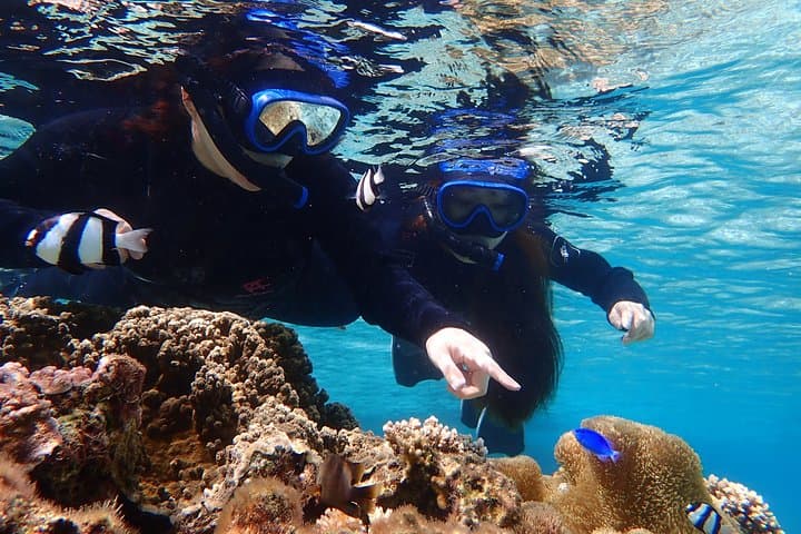 Okinawa Miyako Beach SUP or Canoe and sea turtle Snorkeling — photo 9