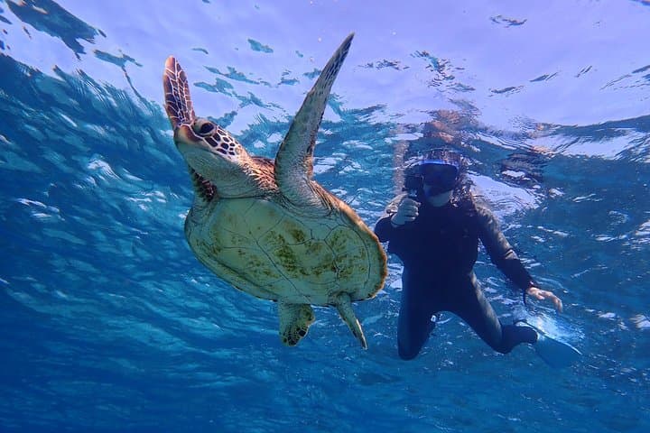 Okinawa Miyakojima 1 day Sea Turtle Snorkeling & Pumpkin Cave & Sea Kayak — photo 10
