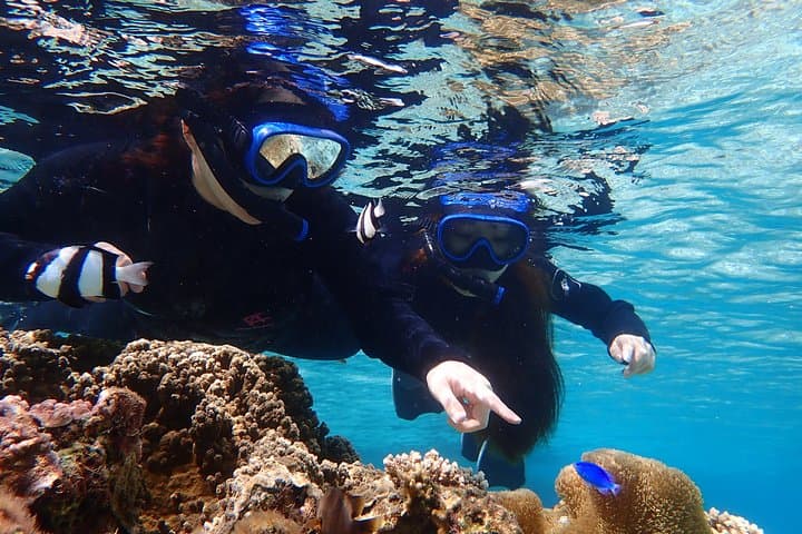 Okinawa Miyako 3set Beach SUP, Snorkeling,Pumpkin Cave,Canoeing — photo 10