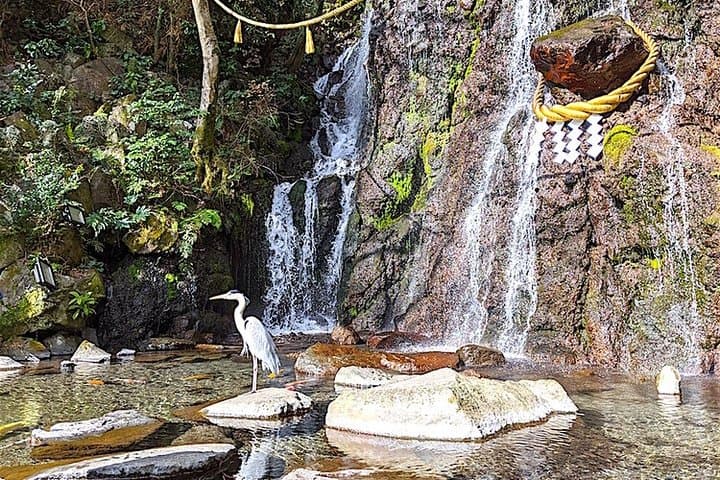 Private Hakone Tour - View of Mt. Fuji, Nature and Culture — photo 9