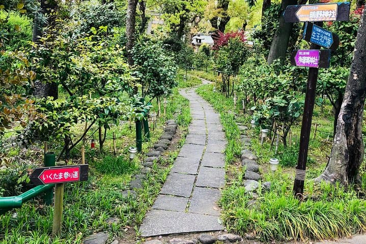 2 Hours Private Guided Walking Tour in Osaka — photo 2