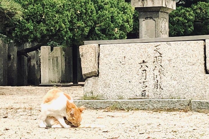 2 Hours Private Guided Walking Tour in Osaka — photo 5