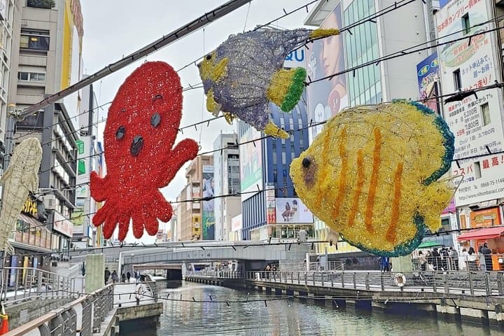 Osaka Dotonbori Daytime Food Tour — photo 16