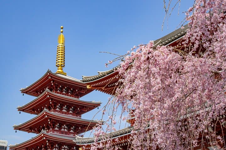 Tokyo Personalized Full-day Tour Led by a Local Expert — photo 3