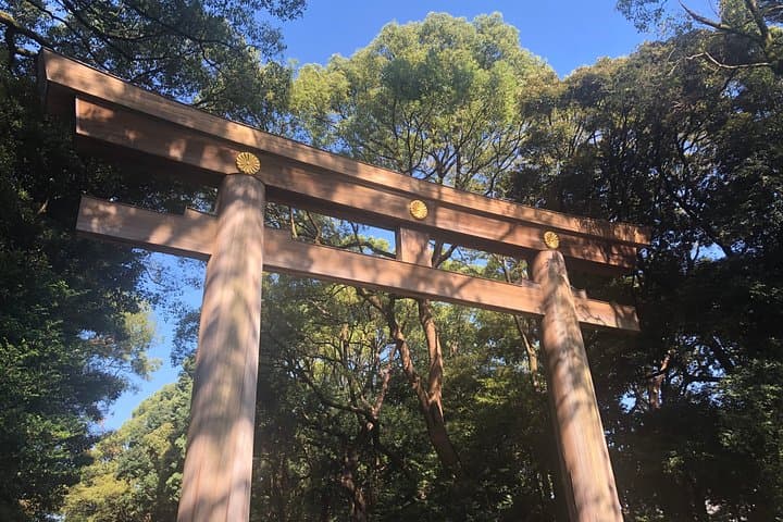 Tokyo Personalized Full-day Tour Led by a Local Expert — photo 2