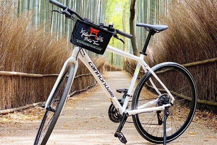 5 Top Highlights of Kyoto Full Day Bike Tour (E-bike option) — photo 11