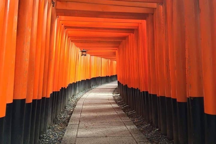 5 Top Highlights of Kyoto Full Day Bike Tour (E-bike option) — photo 6