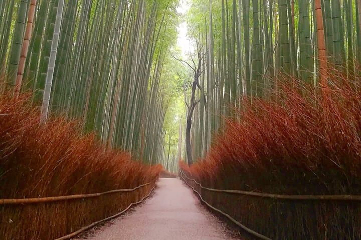 5 Top Highlights of Kyoto Full Day Bike Tour (E-bike option) — photo 5