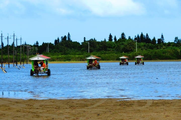 Okinawa Iriomote SUP or Canoe and Sightseeing in Yubujima Island — photo 10