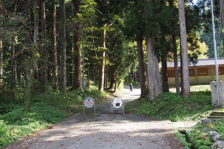 Walking & cycling — photo 4