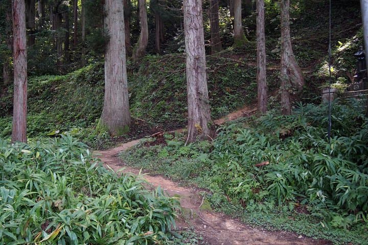 Walking & cycling — photo 6