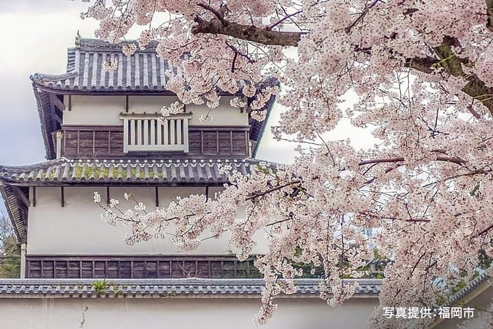 Certified by Fukuoka: A Photogenic Tour to Visit Beautiful Spots with Kimono on! — photo 7