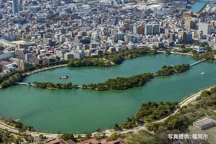Certified by Fukuoka: A Photogenic Tour to Visit Beautiful Spots with Kimono on! — photo 8
