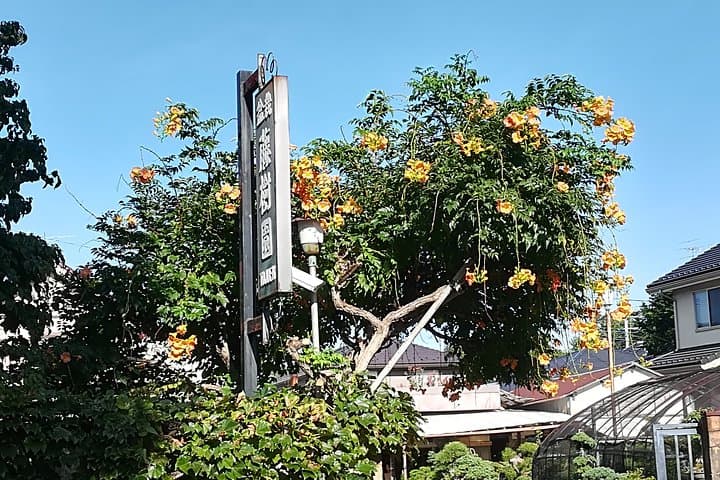 Bonsai Museum & Bonsai Experience — photo 4