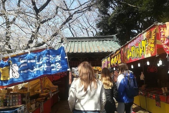 Tokyo Cherry Blossom Highlights: Asakusa, Ueno, and Yanaka — photo 7