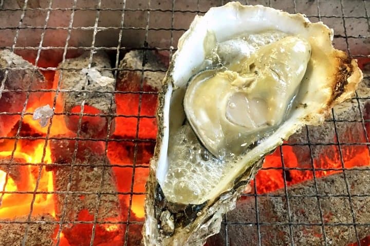 Best of Hiroshima Food Tour — photo 18
