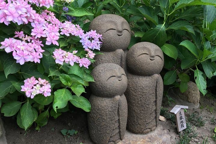 Kamakura flower tour — photo 4