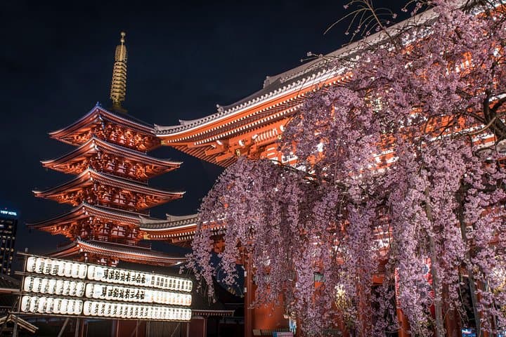Tokyo Photography Masterclass - Private Photography Lesson — photo 11
