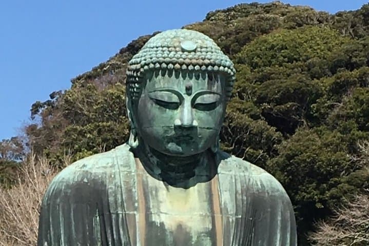 Kamakura flower tour — photo 2