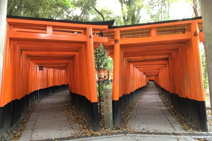 Fushimi Inari Shrine: Explore the 1,000 Torii Gates on an audio walking tour — photo 9