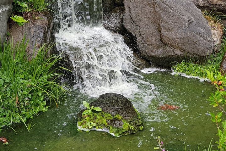 Private Car Full Day Tour of Osaka Temples, Gardens and Kofun Tombs — photo 9