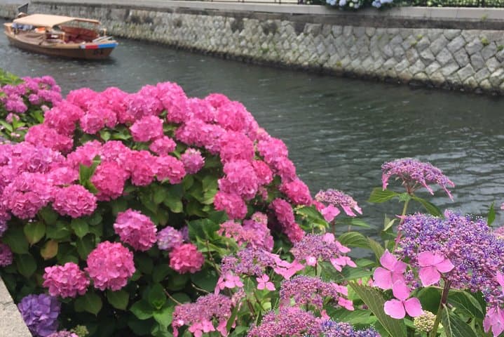 Tour around Matsue Horikawa — photo 2