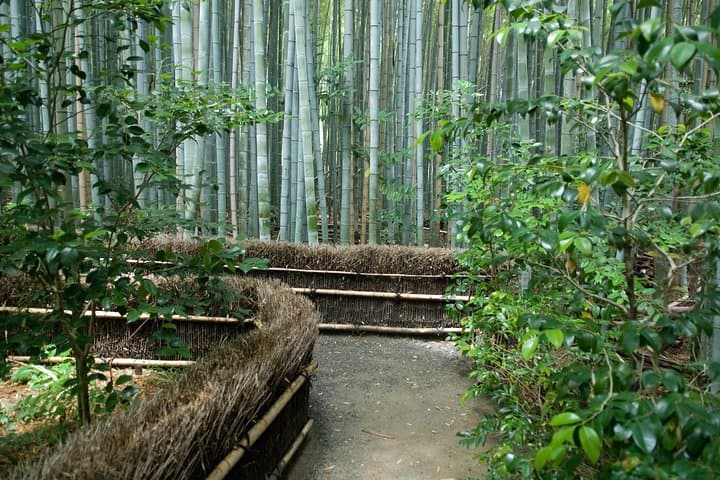 Arashiyama Bamboo Forest E-Biking Tour — photo 3