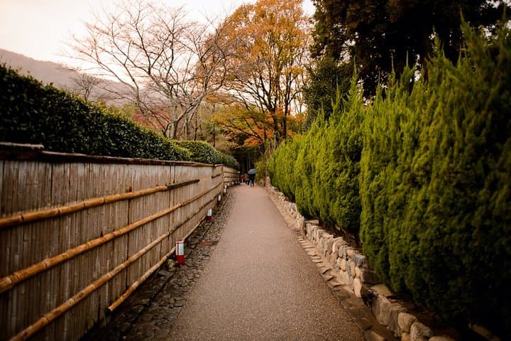 Arashiyama Bamboo Forest E-Biking Tour — photo 6