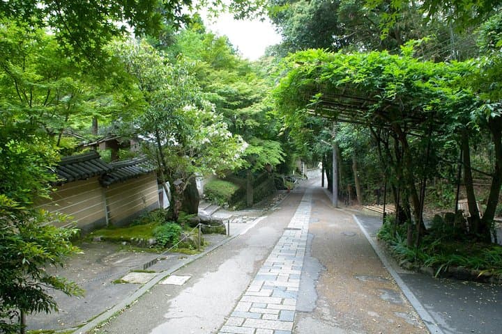 Arashiyama Bamboo Forest E-Biking Tour — photo 4
