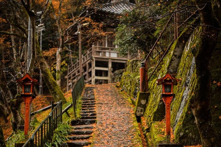 Arashiyama Bamboo Forest E-Biking Tour — photo 5