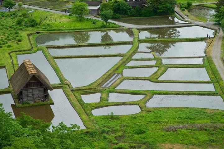 Private Tour of Shirakawago and Gokayama from Kanazawa — photo 13