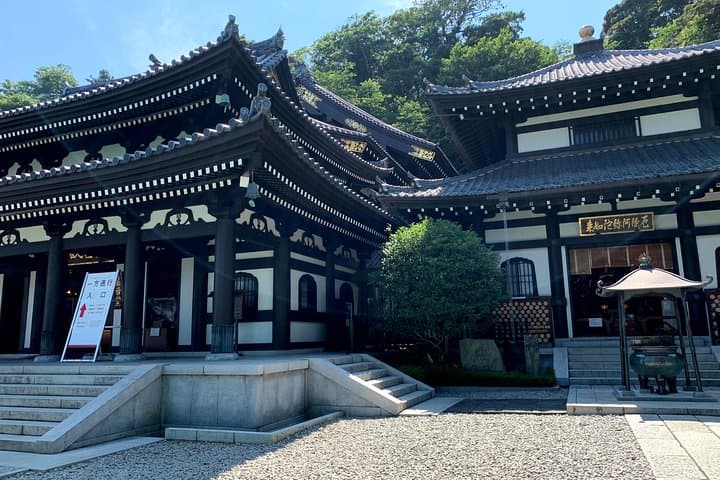 Kamakura flower tour — photo 10