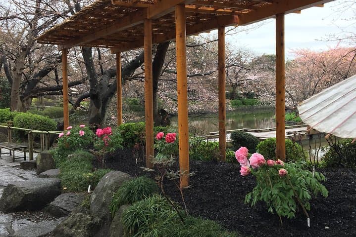 Kamakura flower tour — photo 14