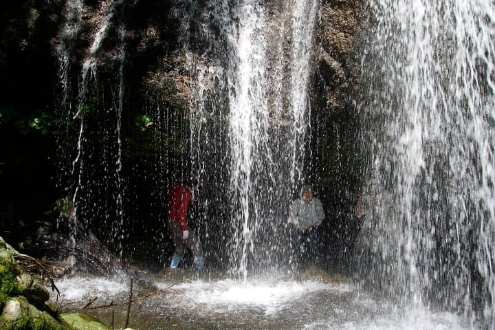 Nature tour around waterfalls that exudes from the beech forest Nishiwaga Town, Iwate Prefecture — photo 2