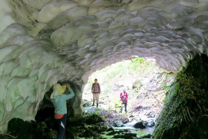 Nature tour around waterfalls that exudes from the beech forest Nishiwaga Town, Iwate Prefecture — photo 6
