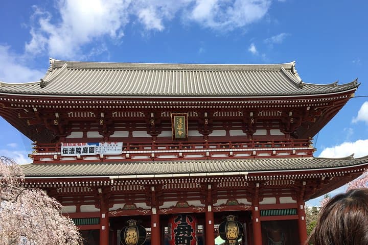 Private Tokyo Cherry Blossom Tour – Custom Sakura Viewing Spots — photo 4