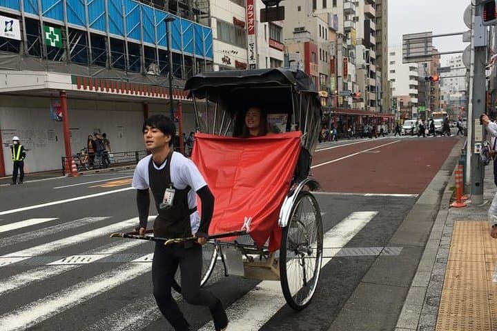 Tokyo Private Customized Walking Tour (Option Car Tour Available) — photo 8