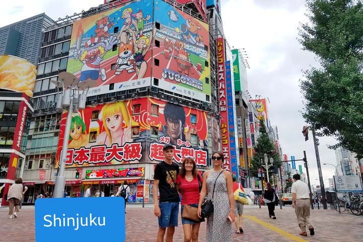 Tokyo Private Customized Walking Tour (Option Car Tour Available) — photo 10