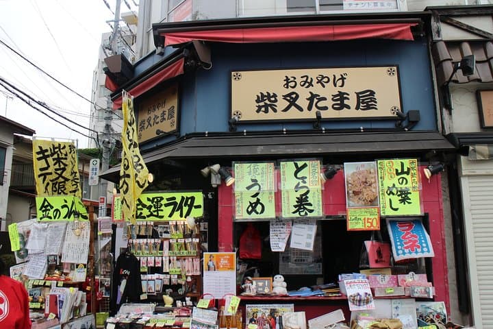 Tokyo Highlights, Shibamata, Temple of Wood Carving, Japanese Style House — photo 5