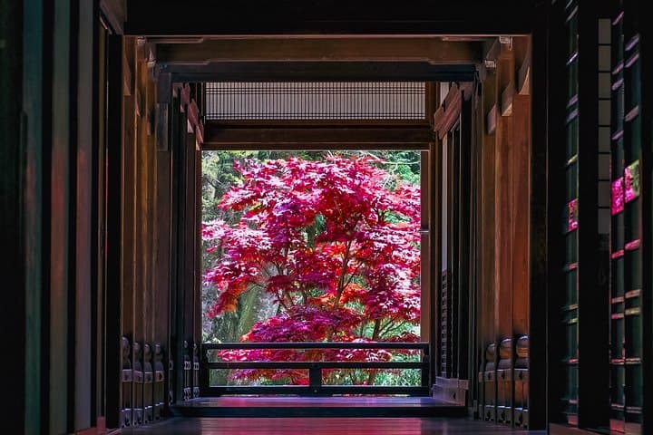 First time in Kamakura? Enjoy a Tour of All Must-sees! — photo 3