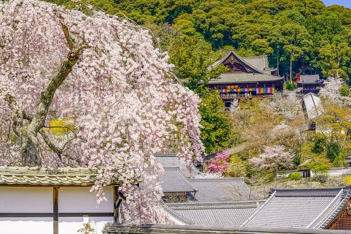 First time in Kamakura? Enjoy a Tour of All Must-sees! — photo 11
