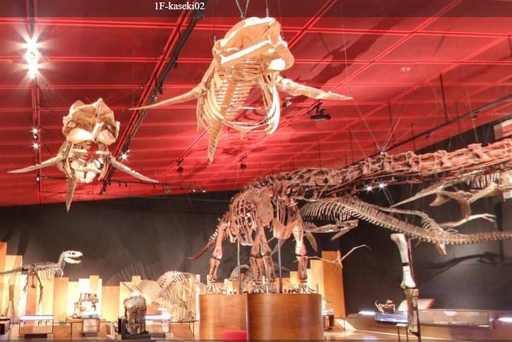 Coal & Fossil Museum Admission Ticket — photo 2