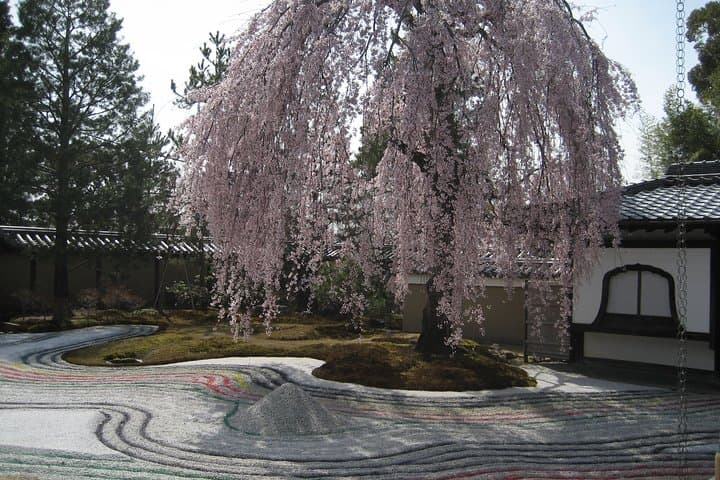 Personalized Half-day Tour in Kyoto for your family and friends. — photo 4