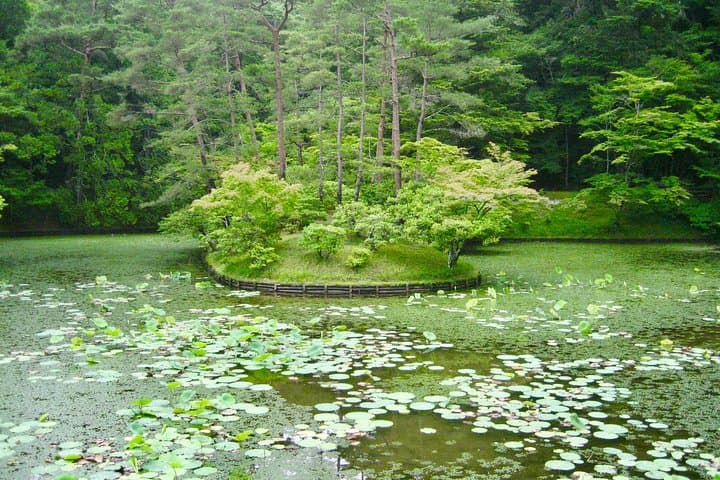 Personalized Half-day Tour in Kyoto for your family and friends. — photo 5