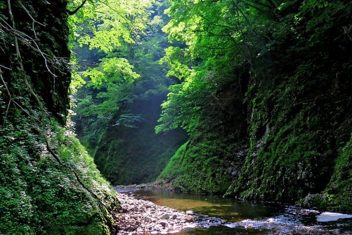 Matt Canyon River Trekking Nishiwaga Town, Iwate Prefecture — photo 4